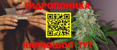 гашик Можайск