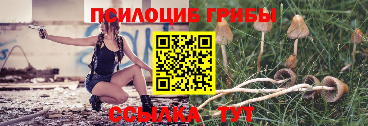 Псилоцибиновые грибы мицелий Шарыпово