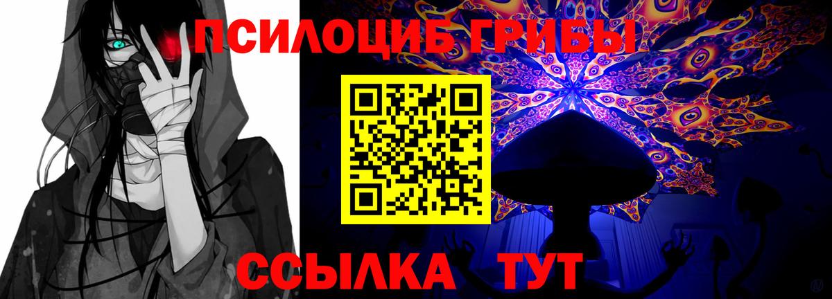 Псилоцибиновые грибы Psilocybe  Вход с VPN  Шарыпово 